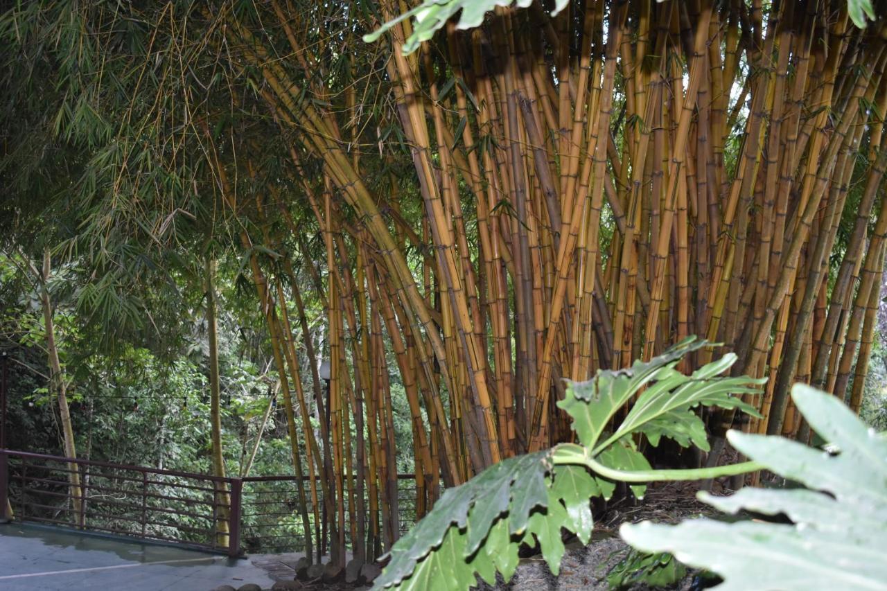 Hotel Bambu Inn Σαλέντο Εξωτερικό φωτογραφία